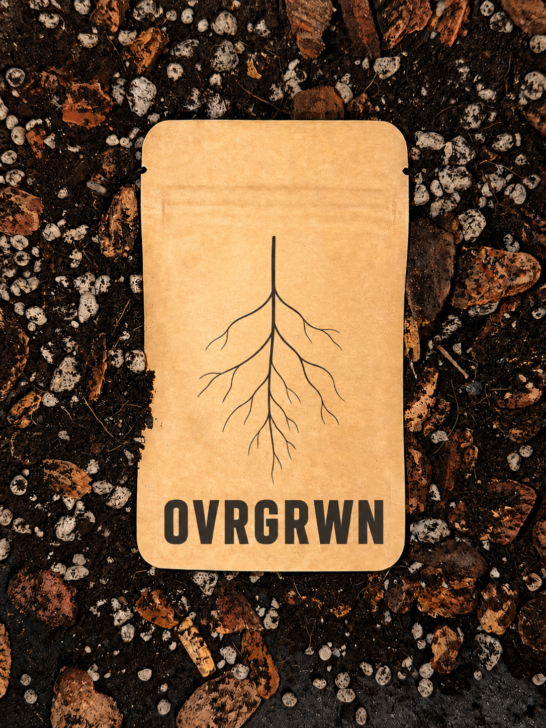 "ROOT"